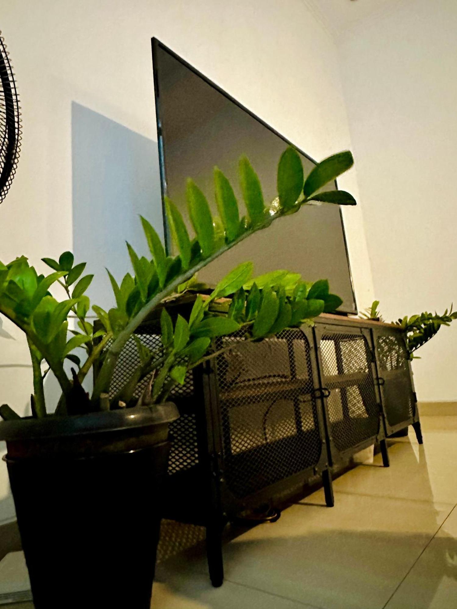 4-Bedroom Home In South Jakarta Nuansa Swadarma Residence By Le Ciel Hospitality Экстерьер фото